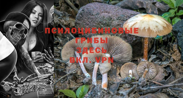 соль курить ск Аша