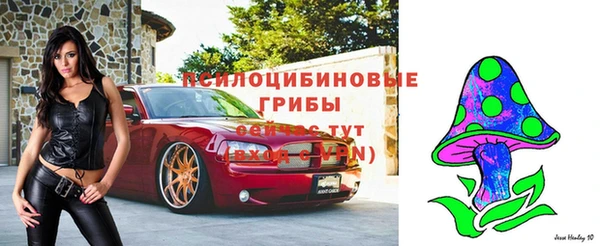 скорость Медвежьегорск