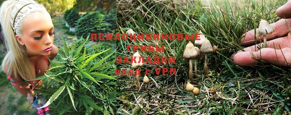 скорость Медвежьегорск
